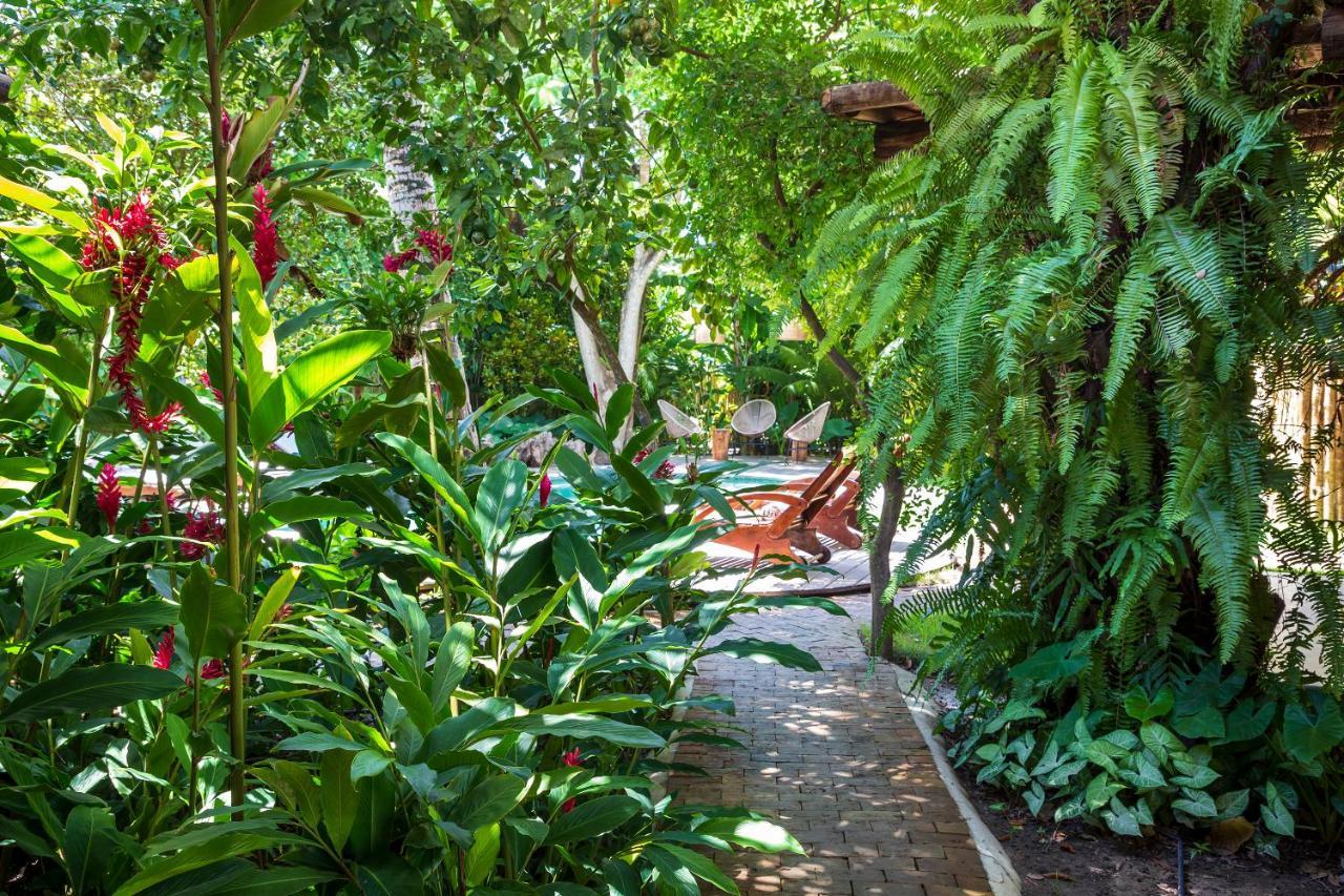 Casa Das Aguas Транкозу Экстерьер фото